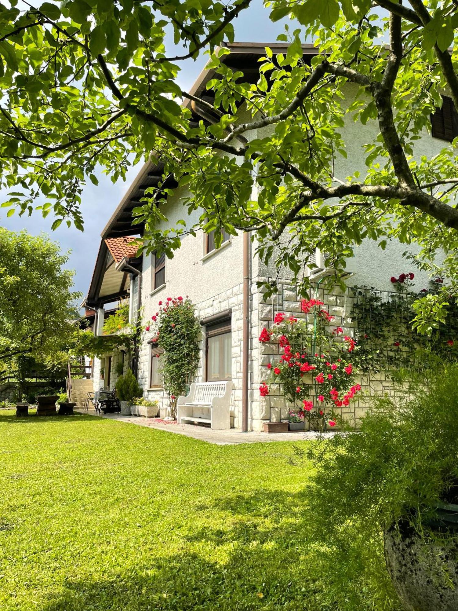 Apartma Savan Tolmin Εξωτερικό φωτογραφία
