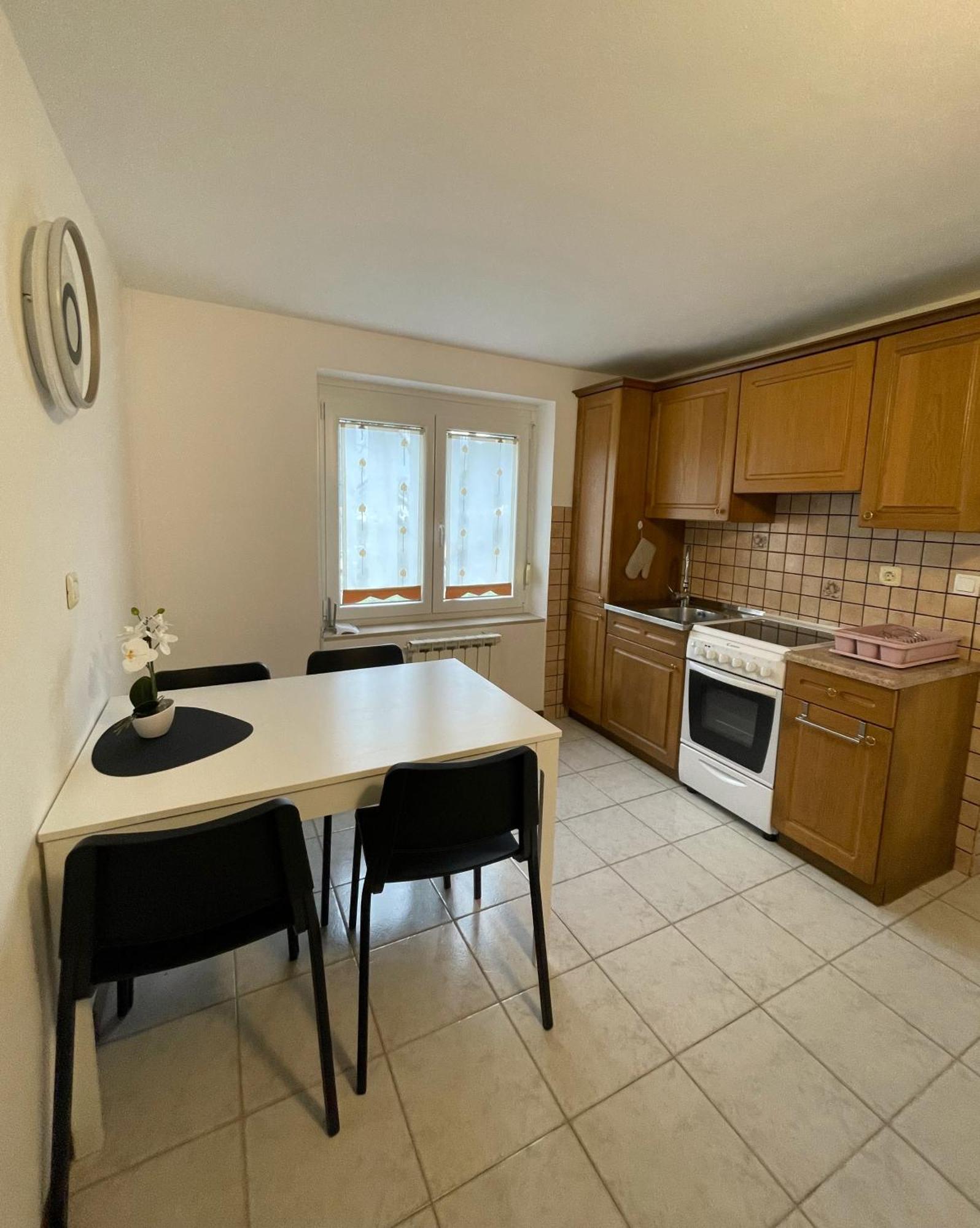Apartma Savan Tolmin Εξωτερικό φωτογραφία