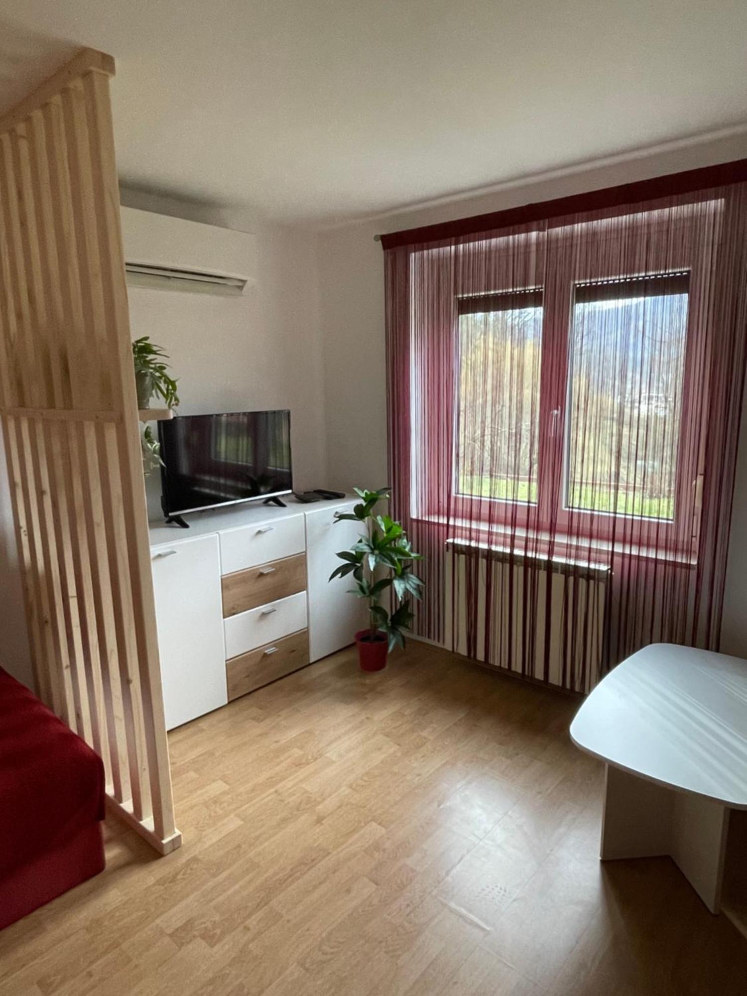 Apartma Savan Tolmin Εξωτερικό φωτογραφία
